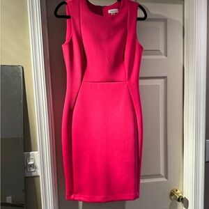 Hot pink sheath dress. Back zipper